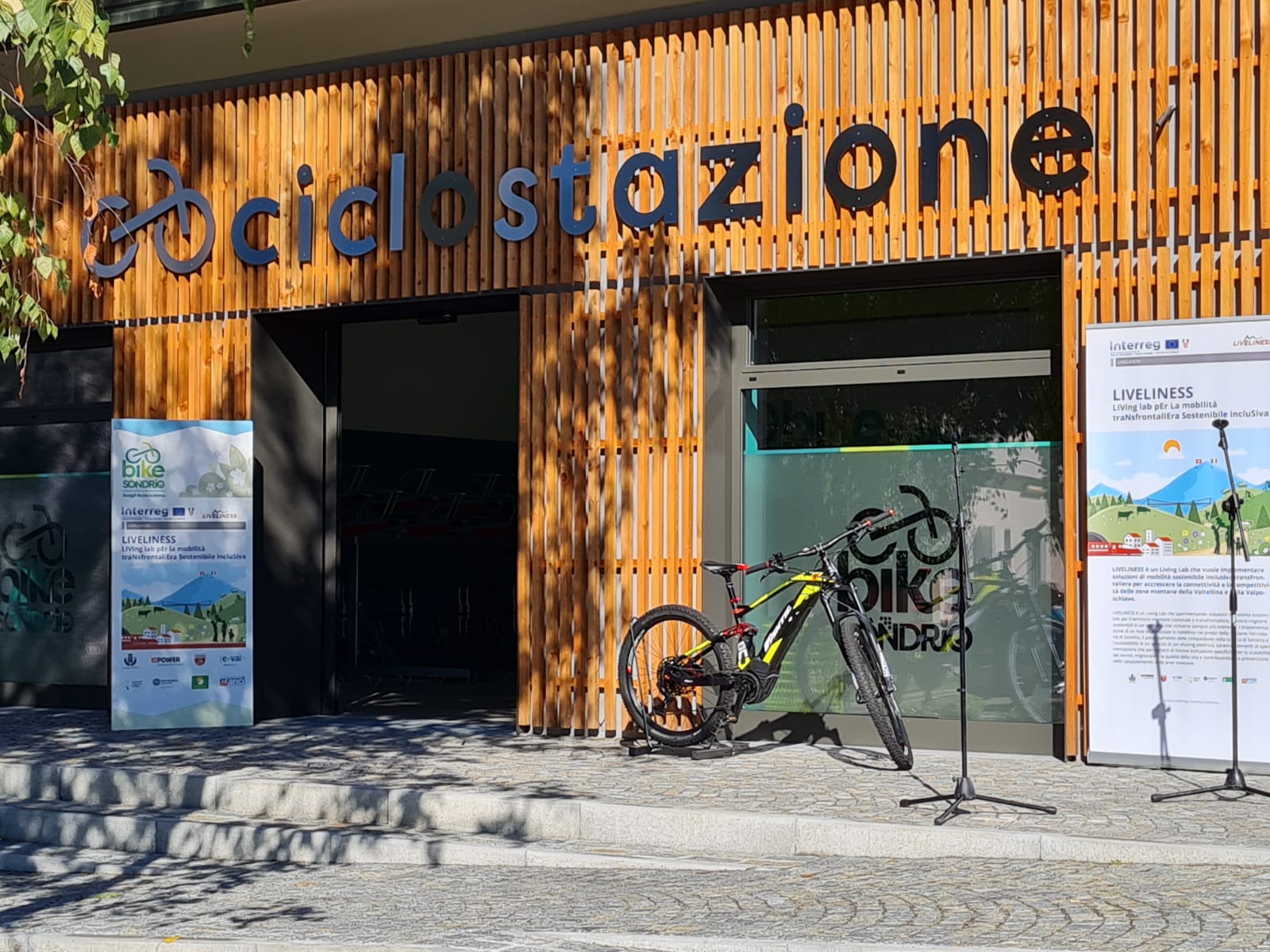 Progetto Liveliness