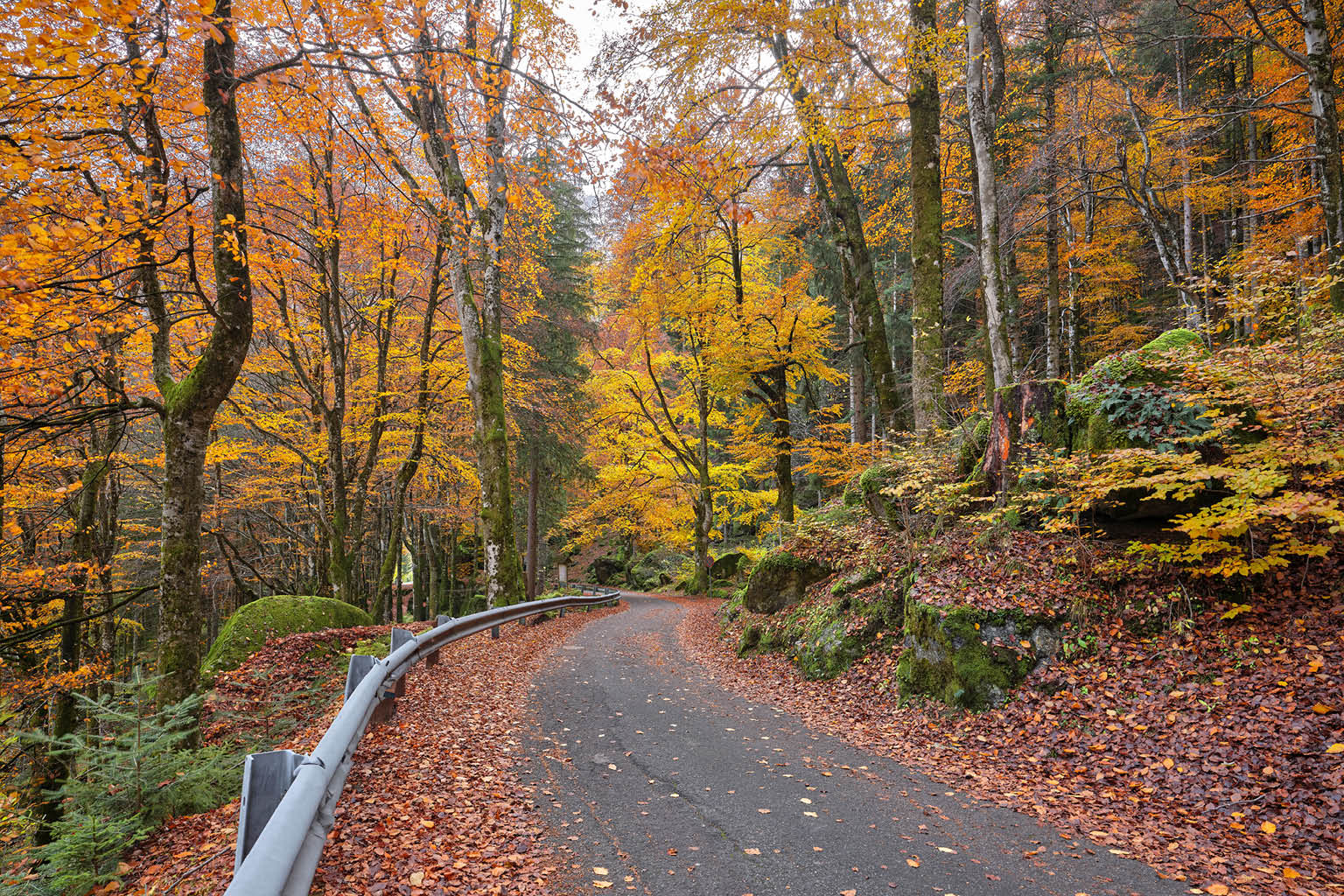 Strada in montagna